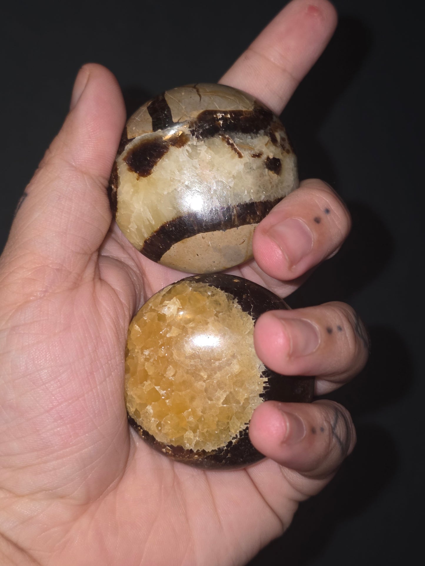 Septarian Palm Stones - UV Reactive
