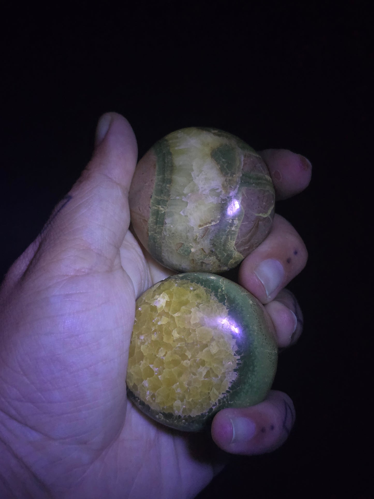 Septarian Palm Stones - UV Reactive