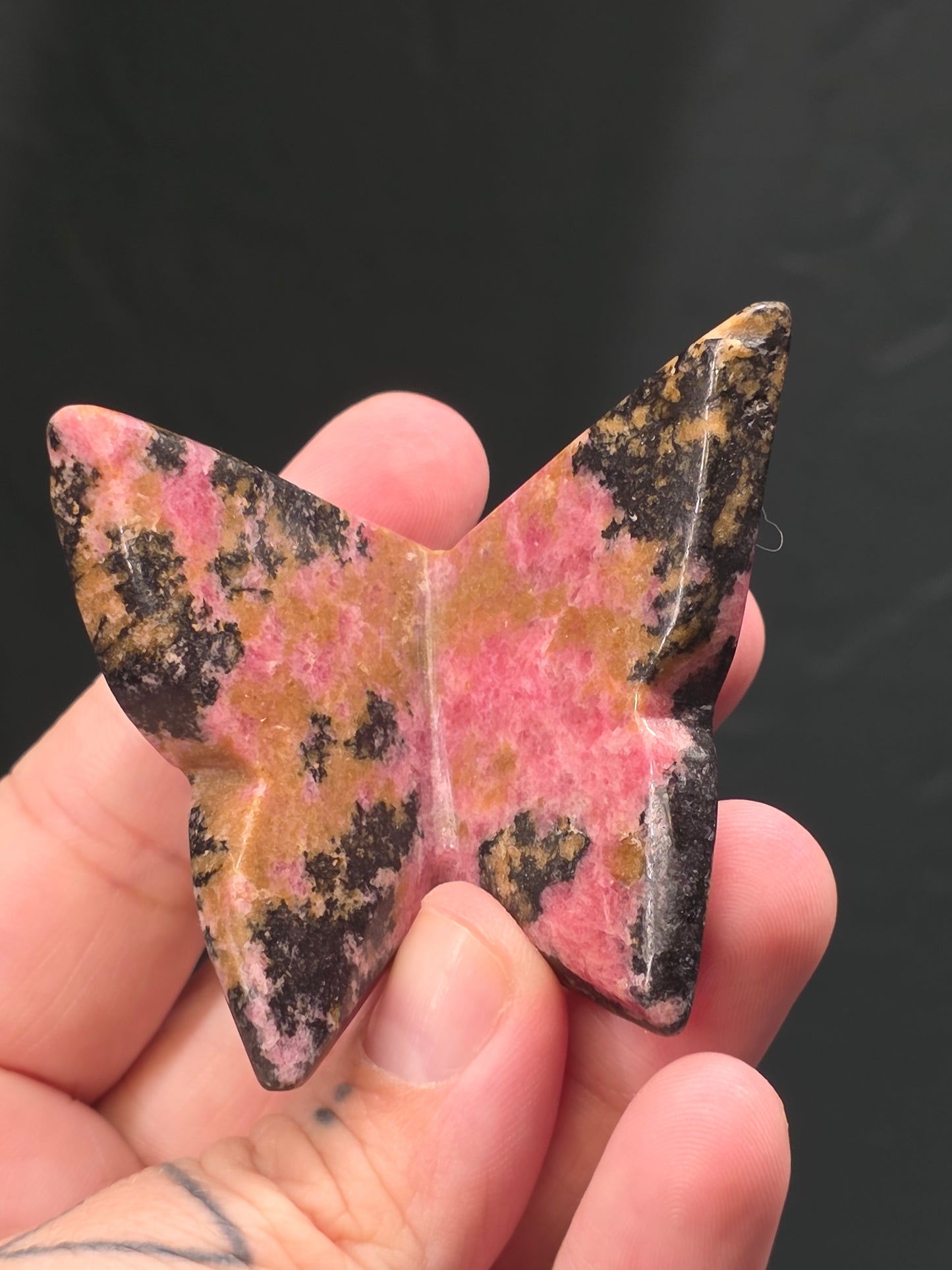 3D Butterflies