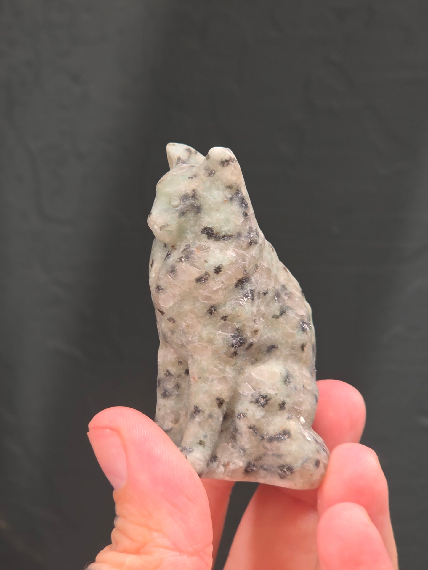 Mainecoon Cat Carving