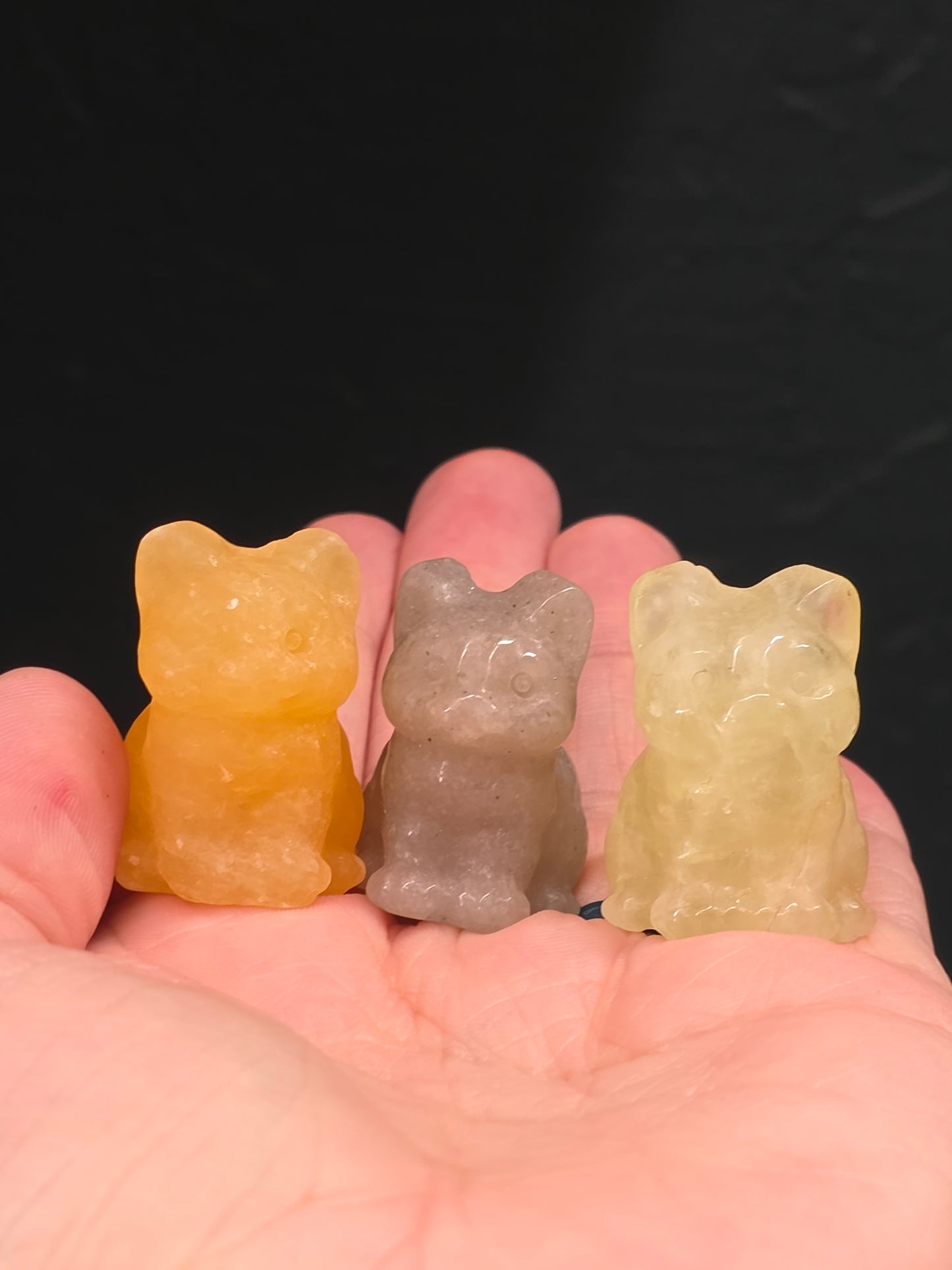 Mini Chubby Cats
