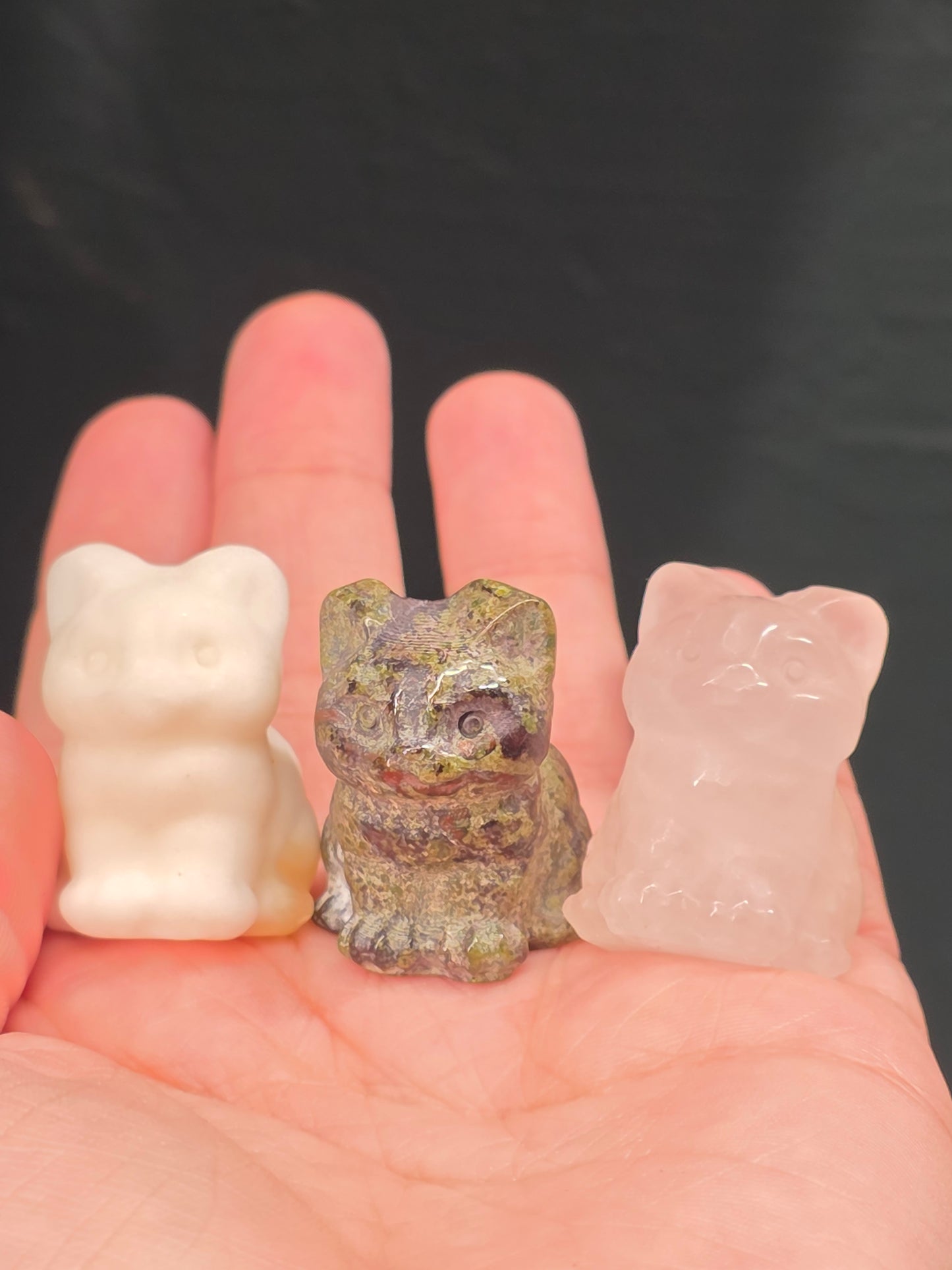 Mini Chubby Cats