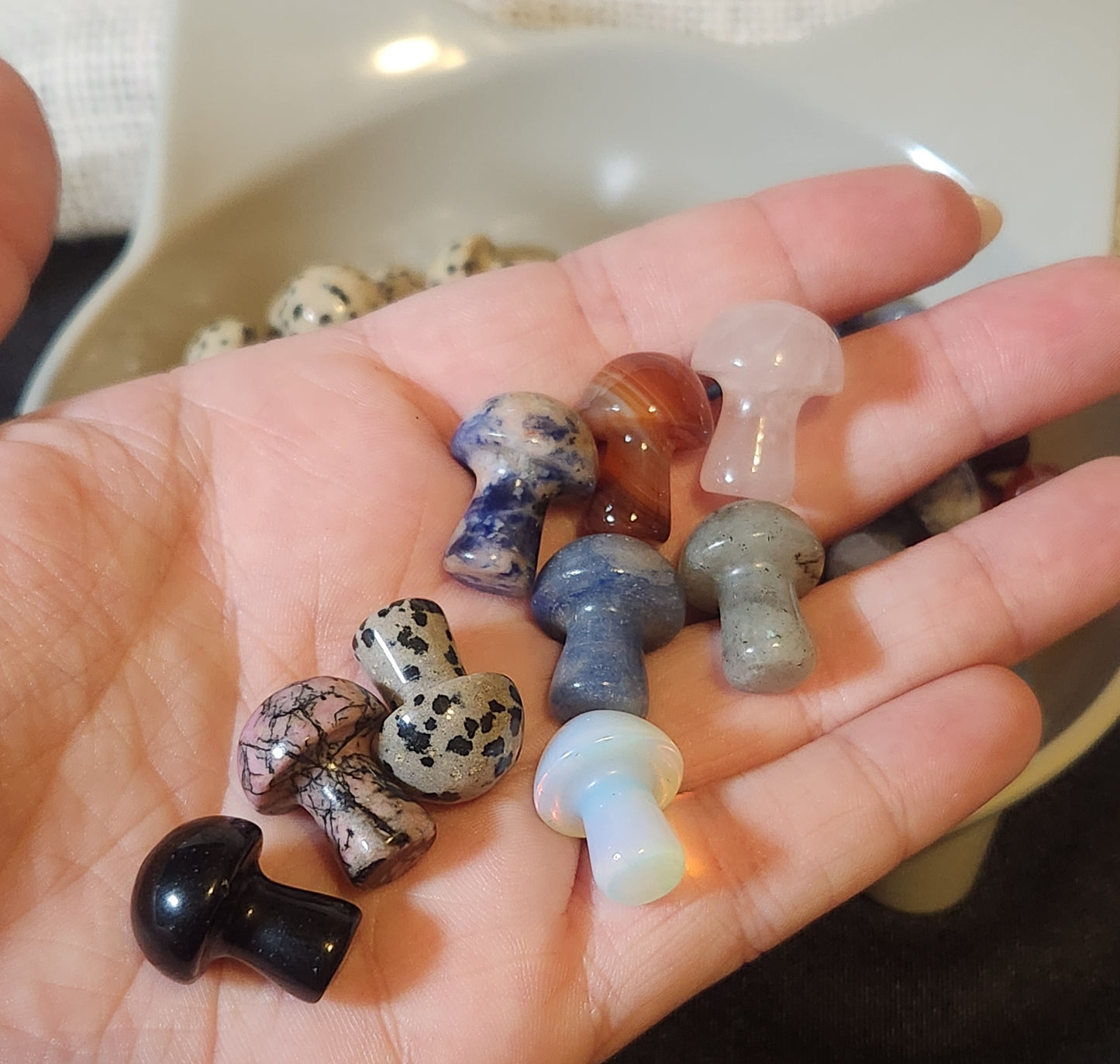 Mini Mushroom