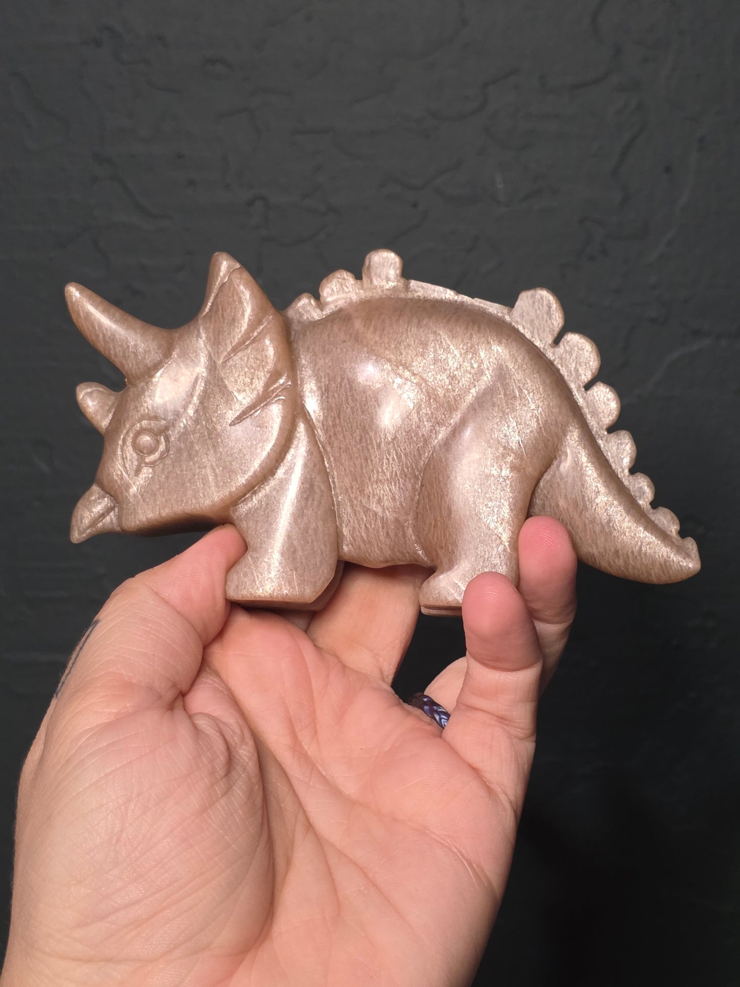 Large Flashy Peach Moonstone Triceratops