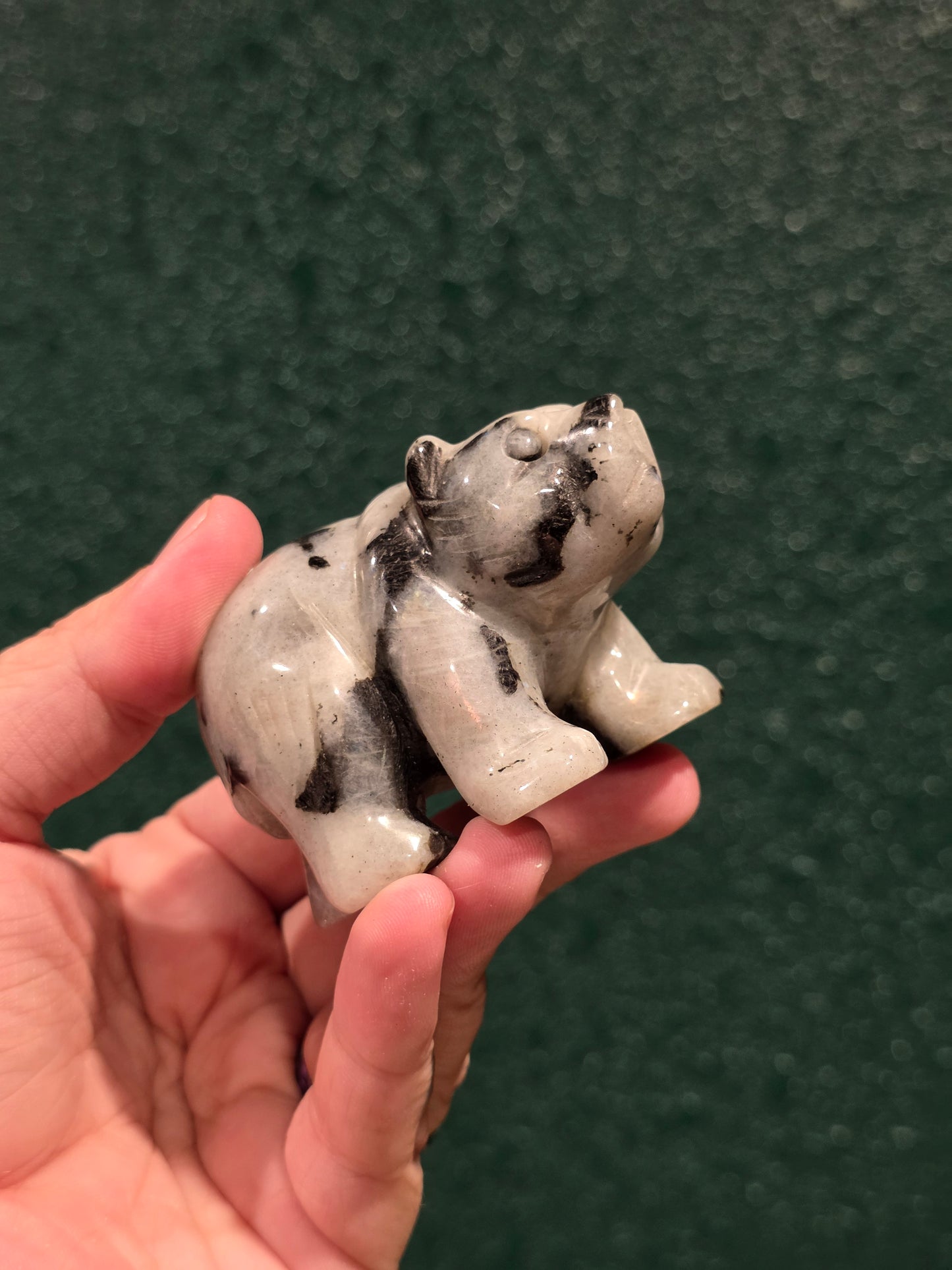 Labradorite Bear - Lg