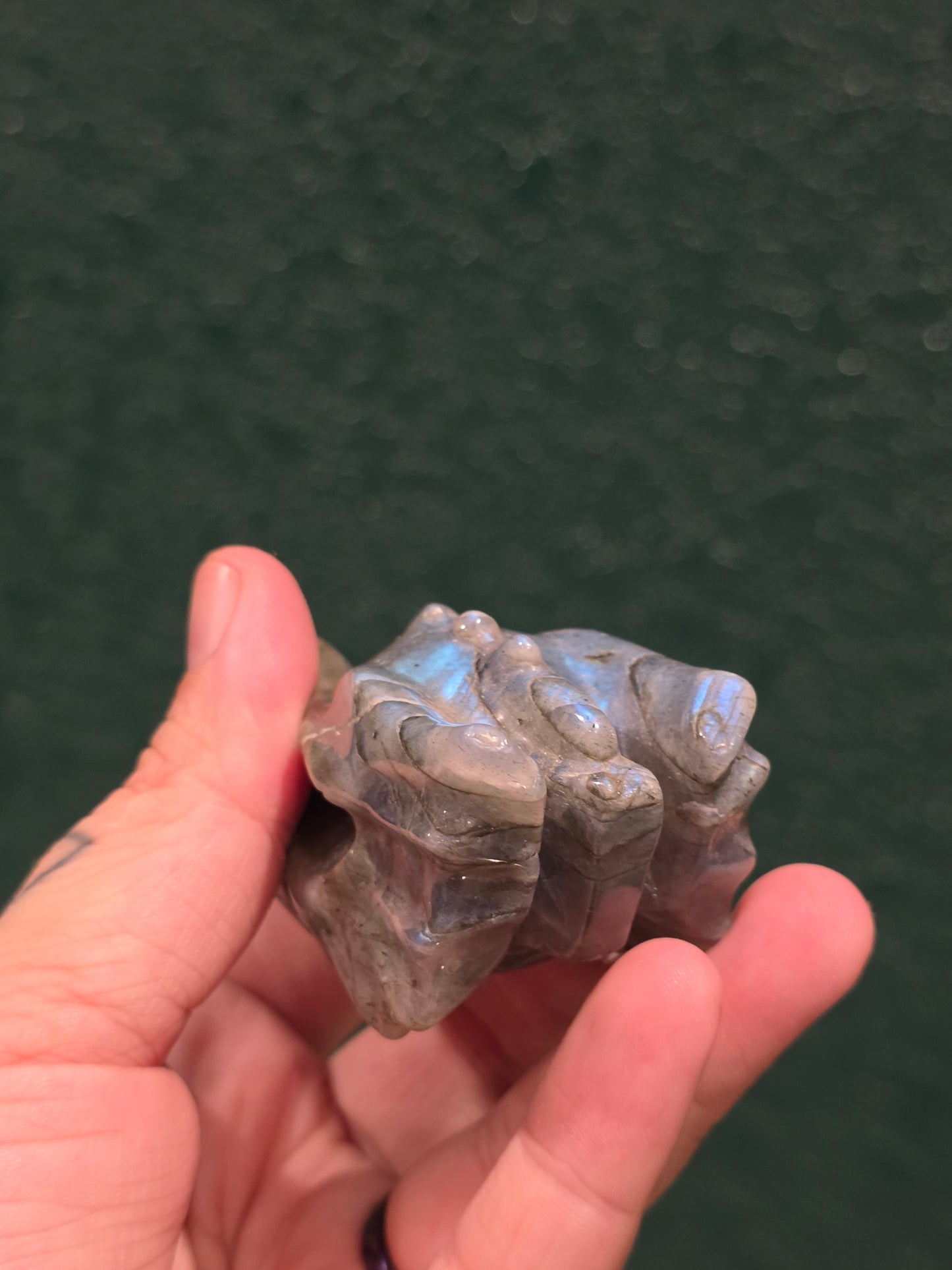 Labradorite Dragon Skull