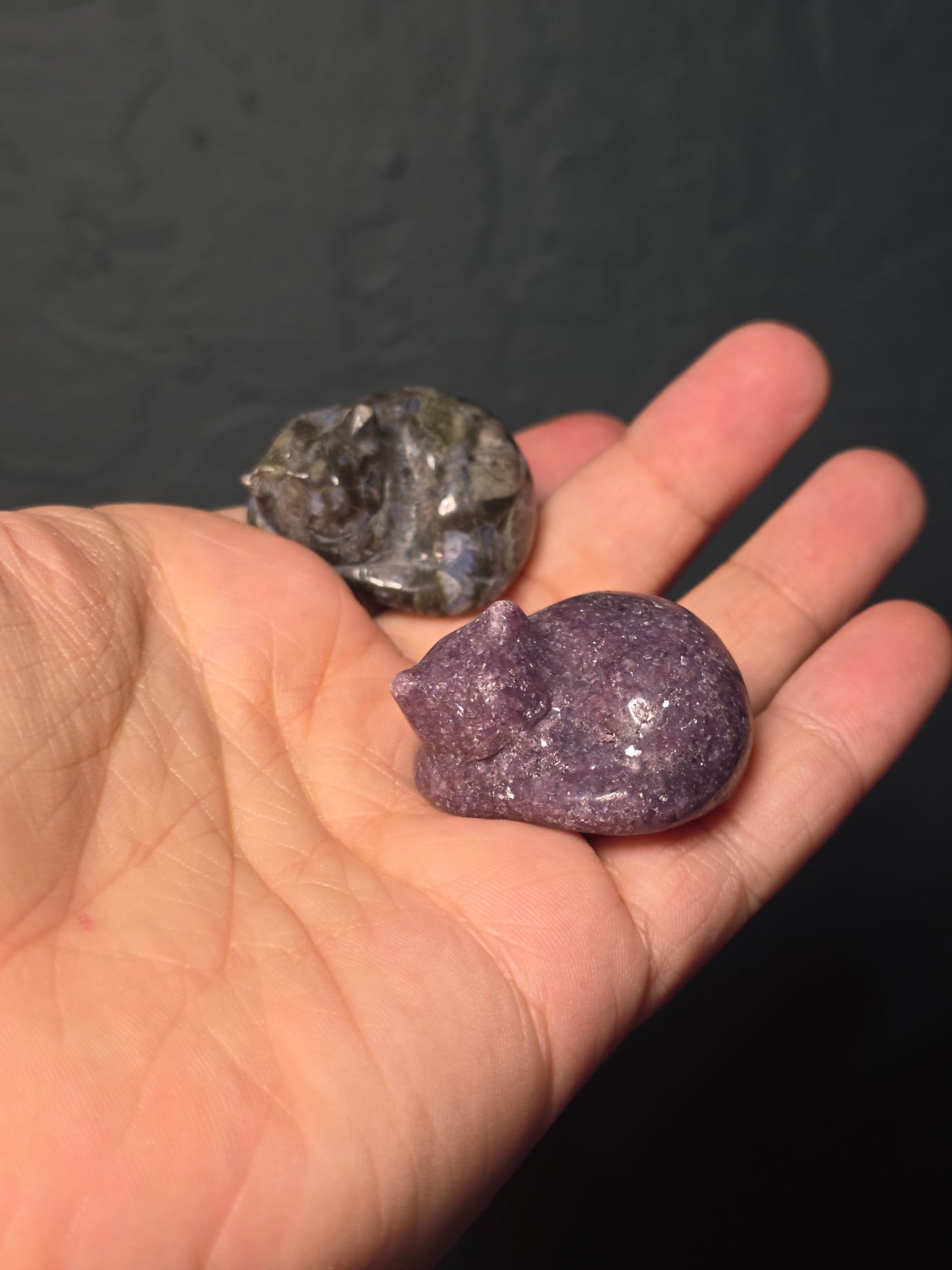 Sleeping Cat Carving