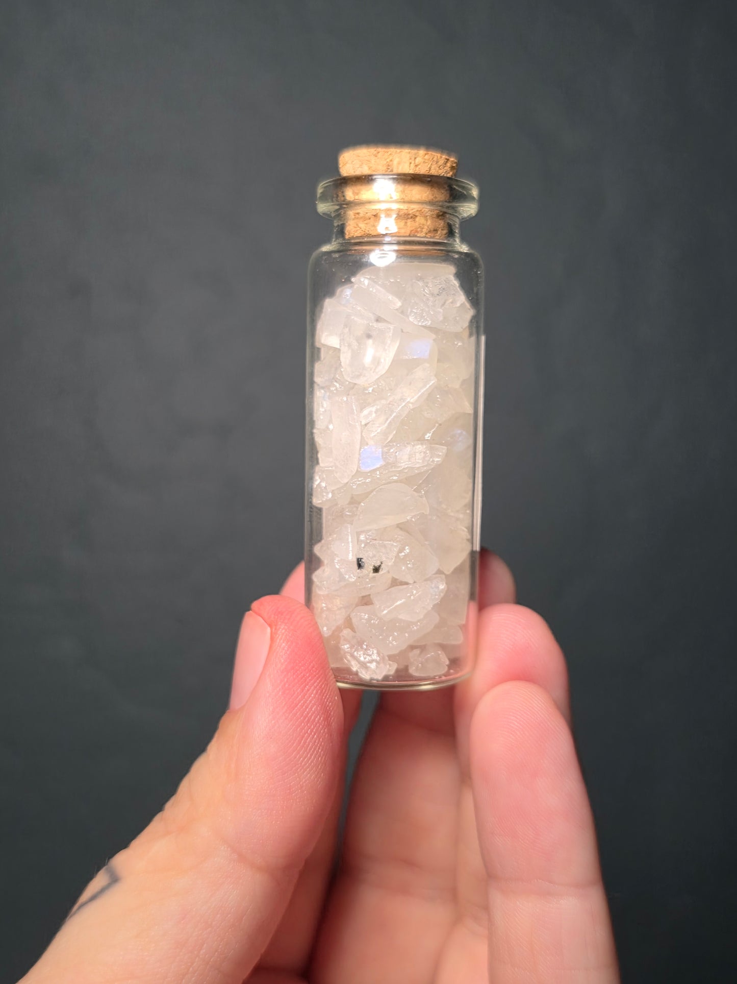 Chip Jars - You Pick