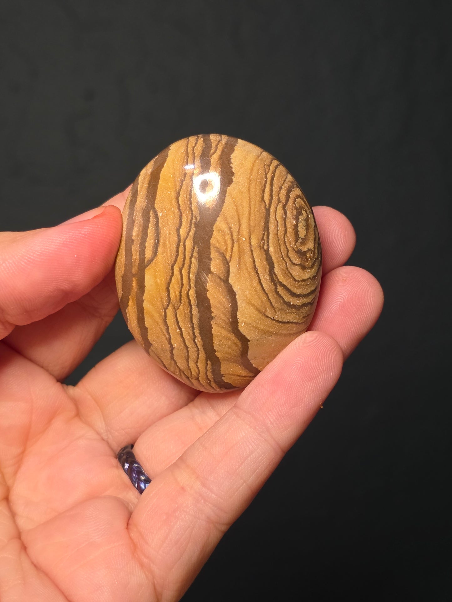 Picture Jasper Palm Stone