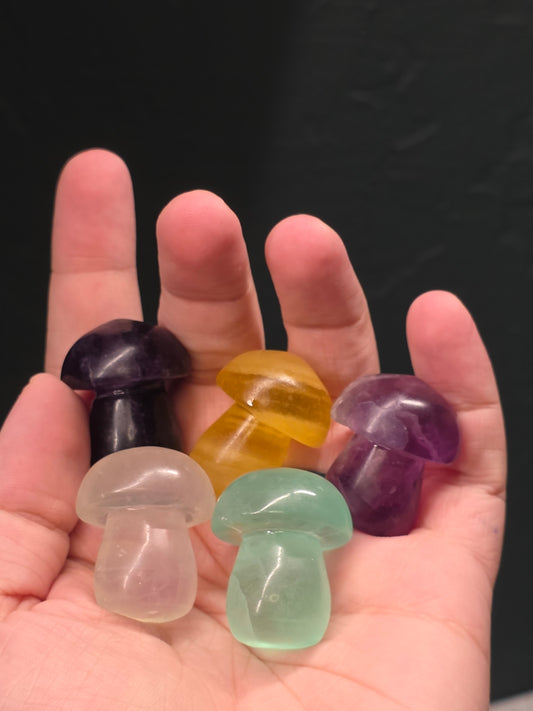 Small Fluorite Mushrooms