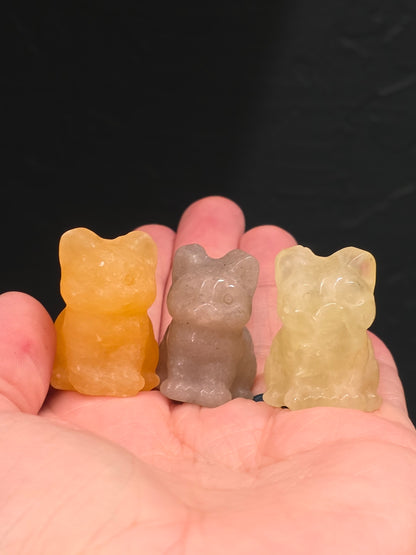 Mini Chubby Cats