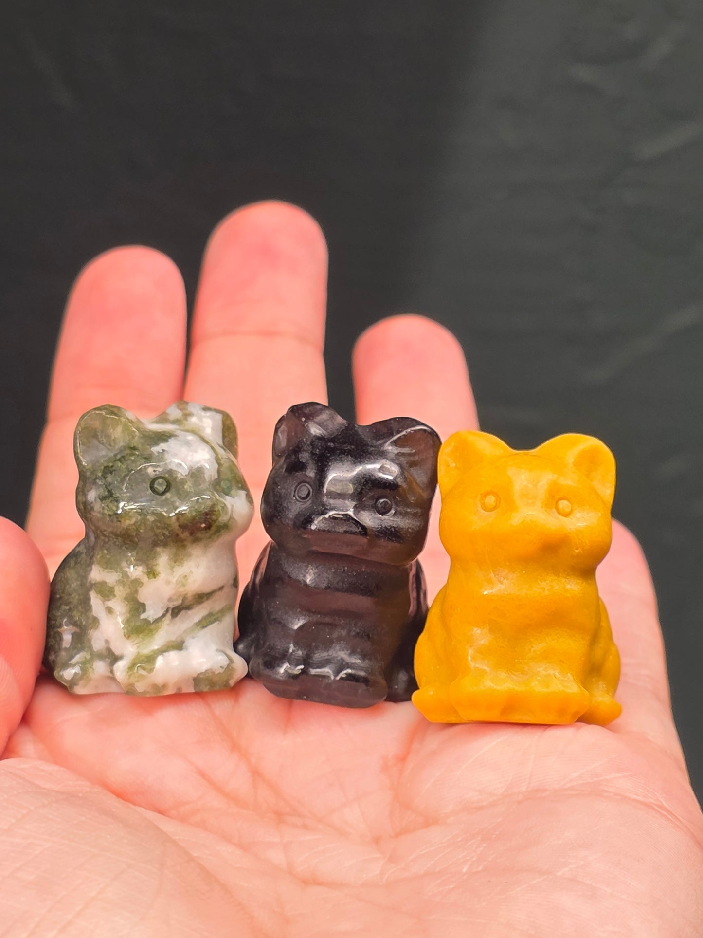 Mini Chubby Cats