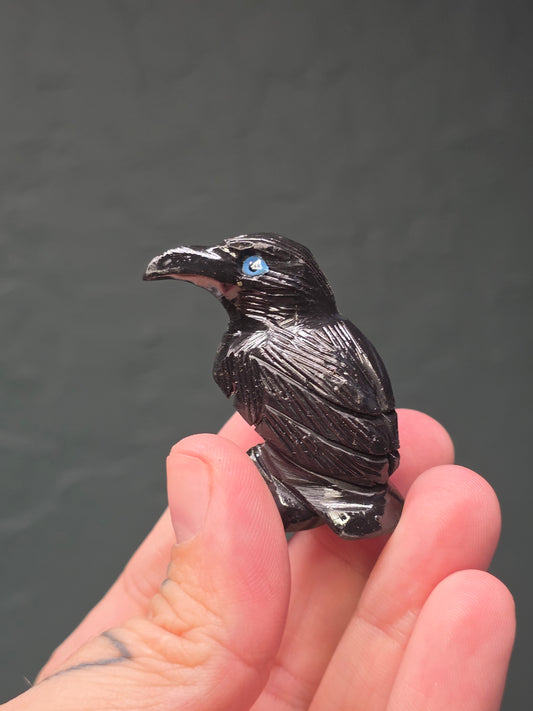 Black Onyx Raven