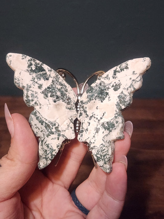 Butterflies