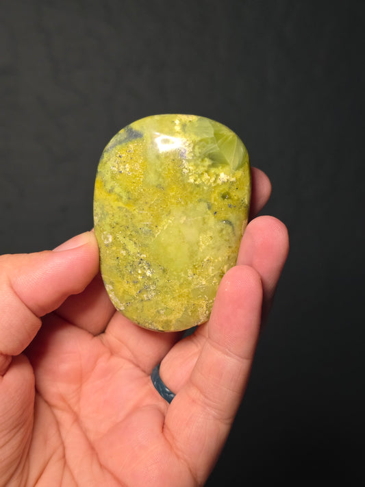 Serpentine Palm Stone
