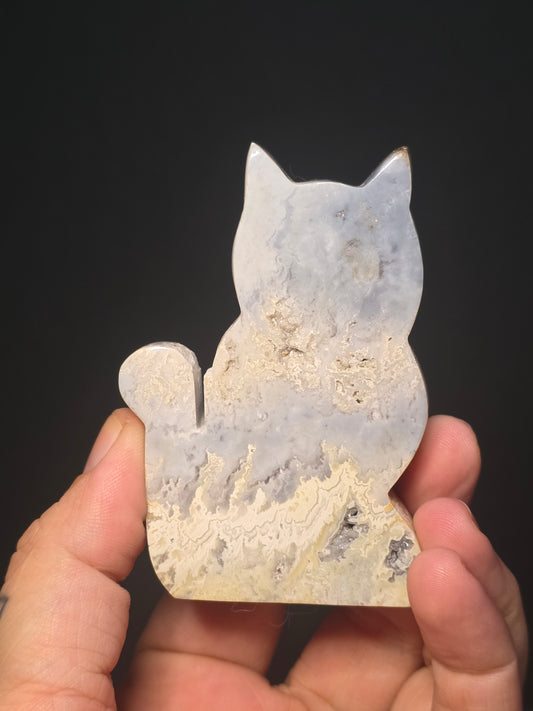 Cat Silhouette