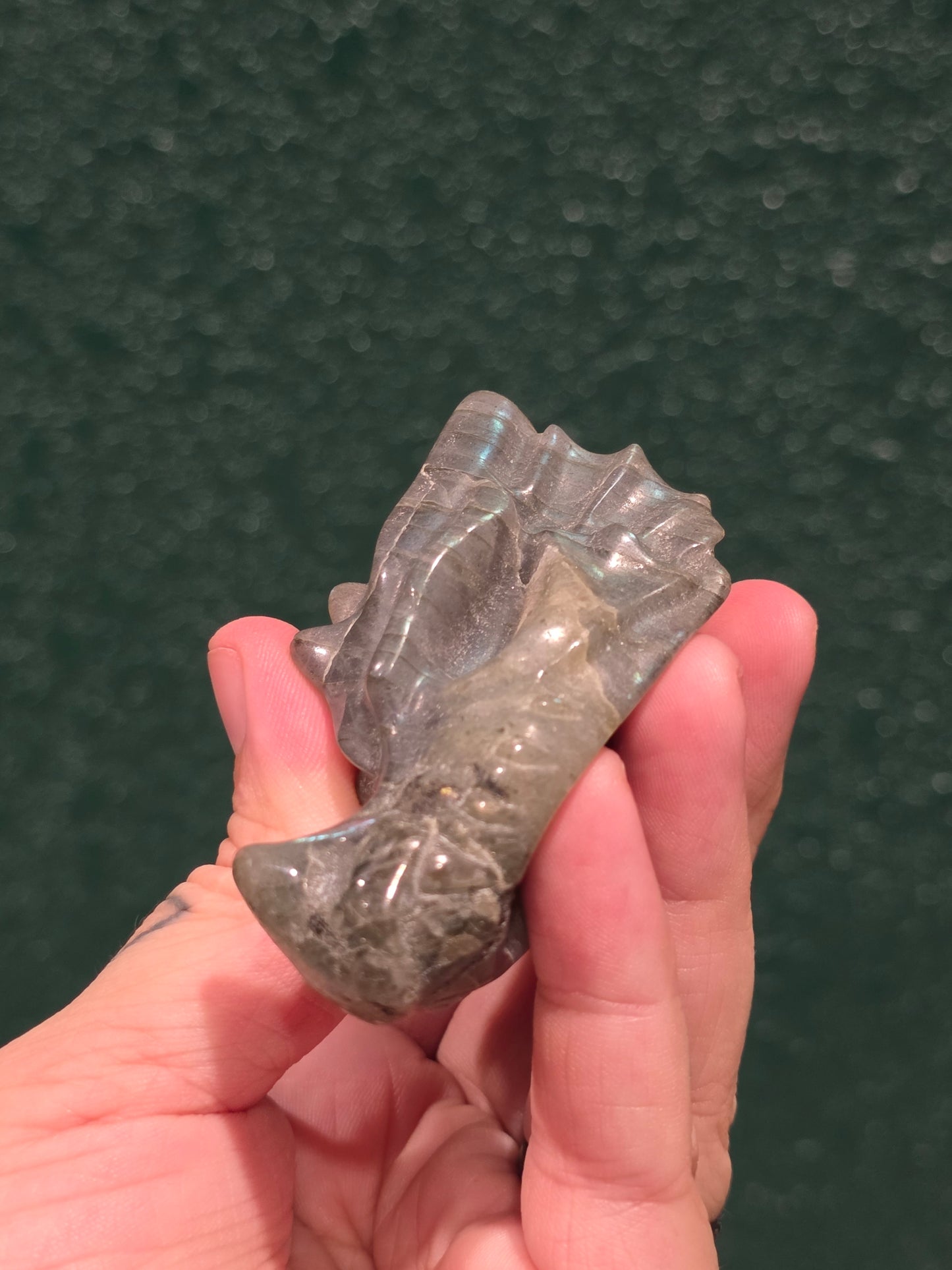 Labradorite Dragon Skull