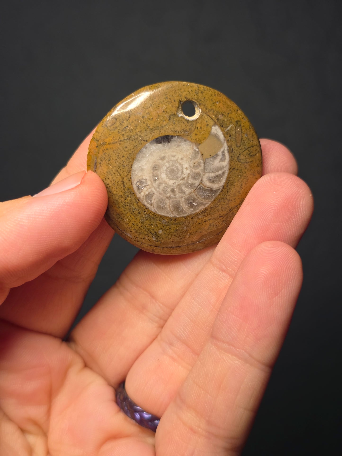 Ammonite Pendants