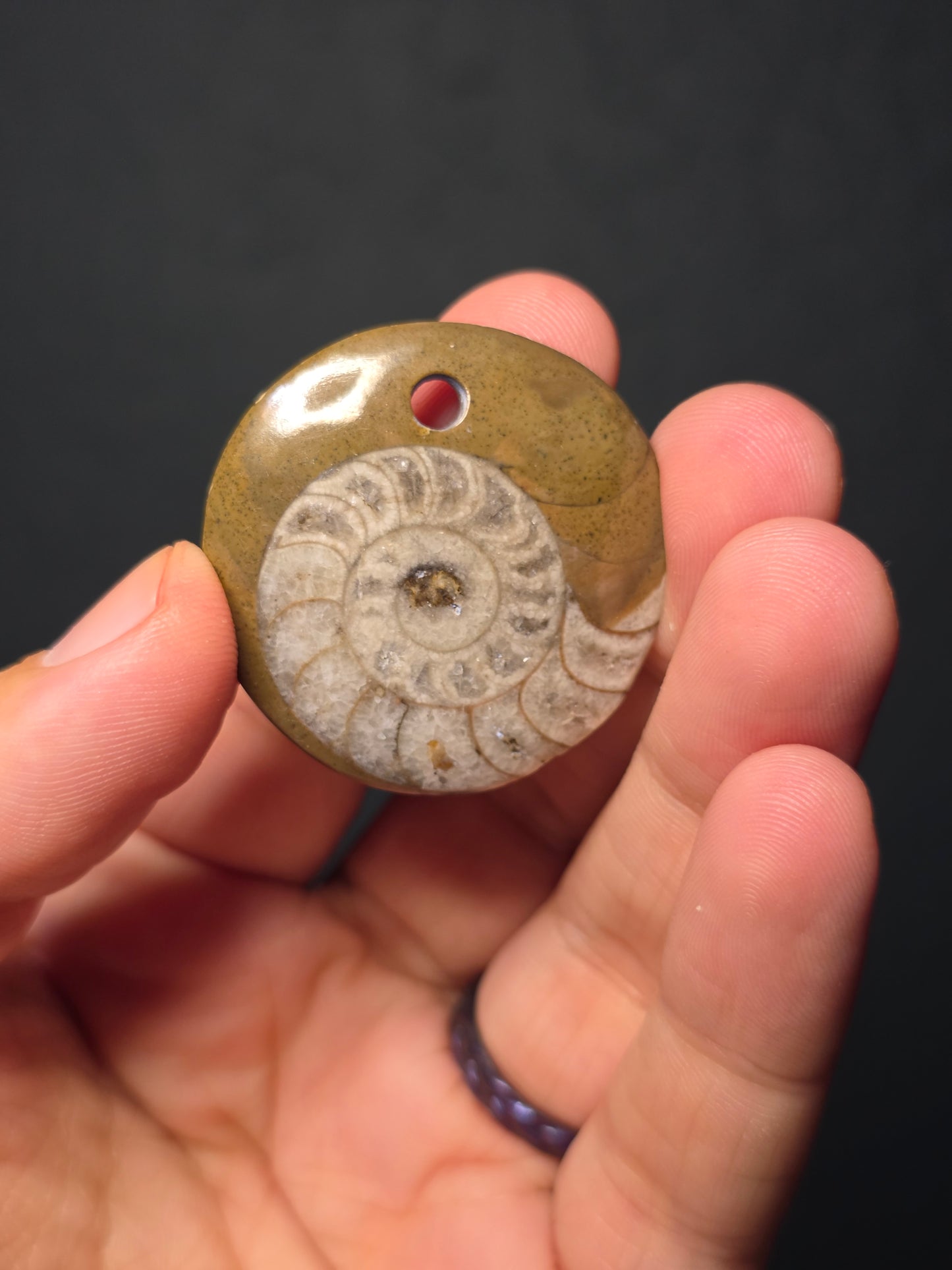 Ammonite Pendants