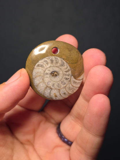Ammonite Pendants