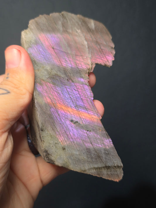 Sunset Labradorite Half Polished Freeforms