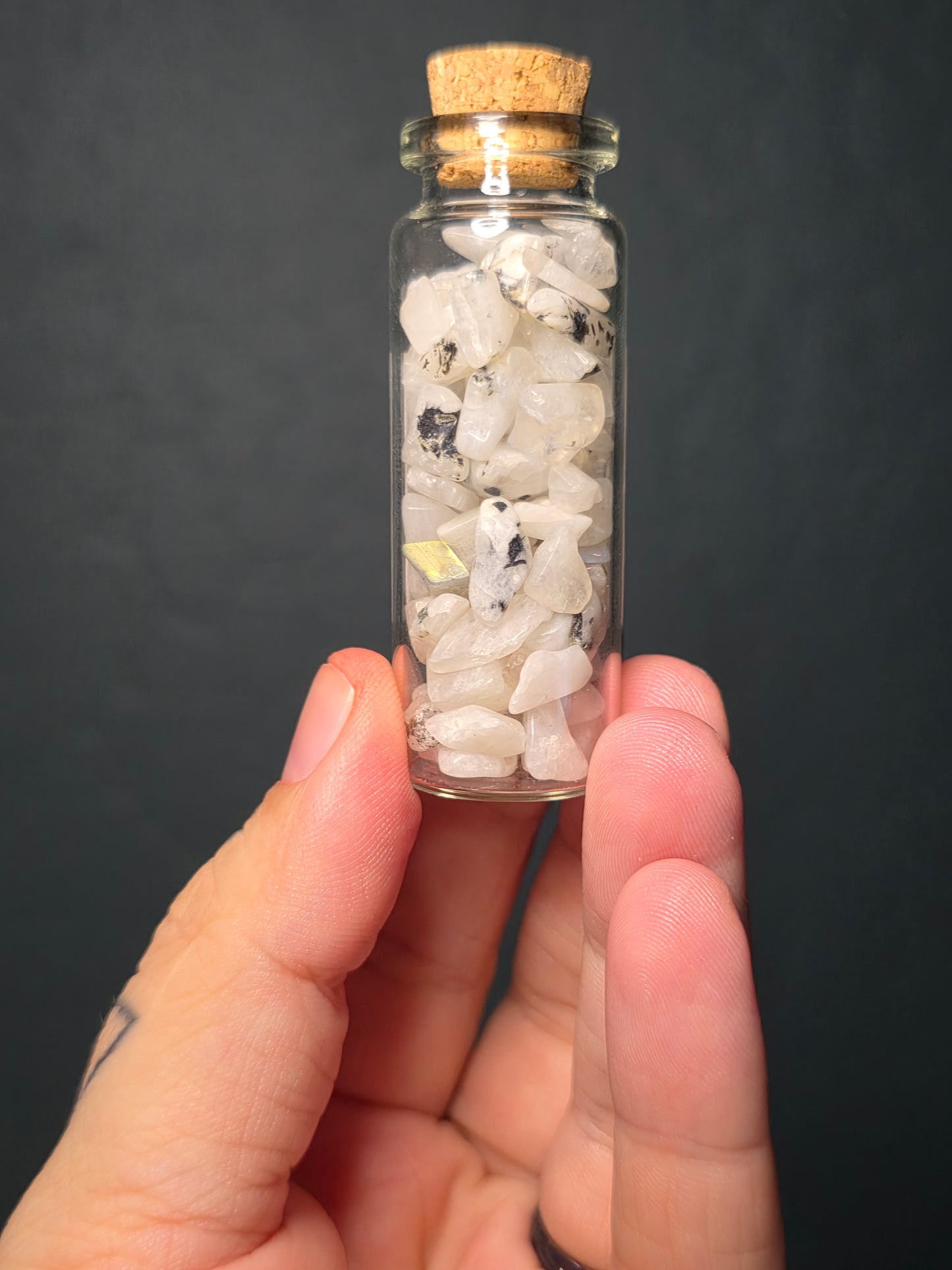 Chip Jars - You Pick