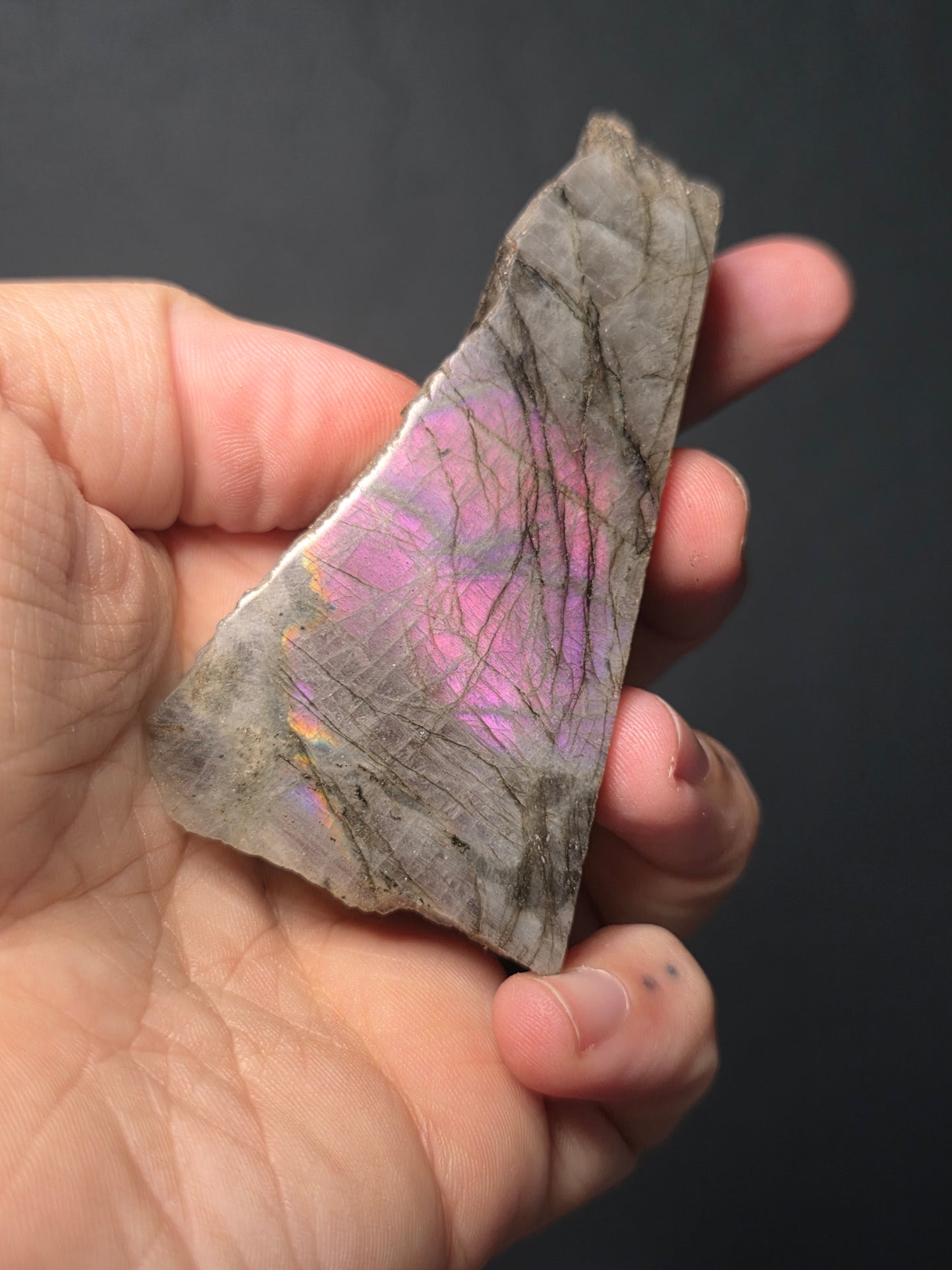 Sunset Labradorite Half Polished Freeforms