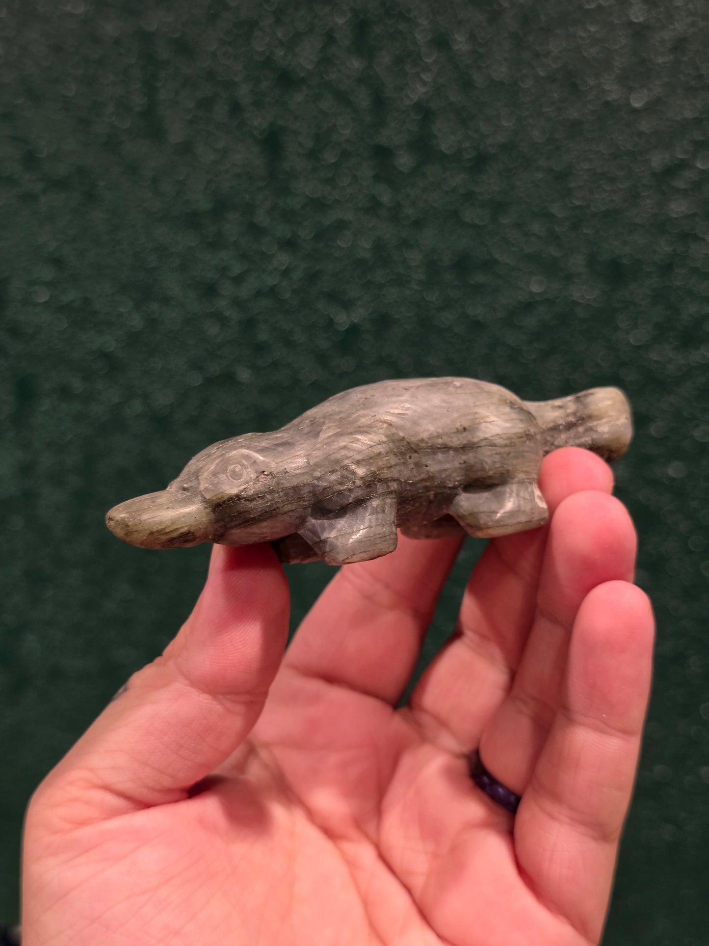 Labradorite Platypus