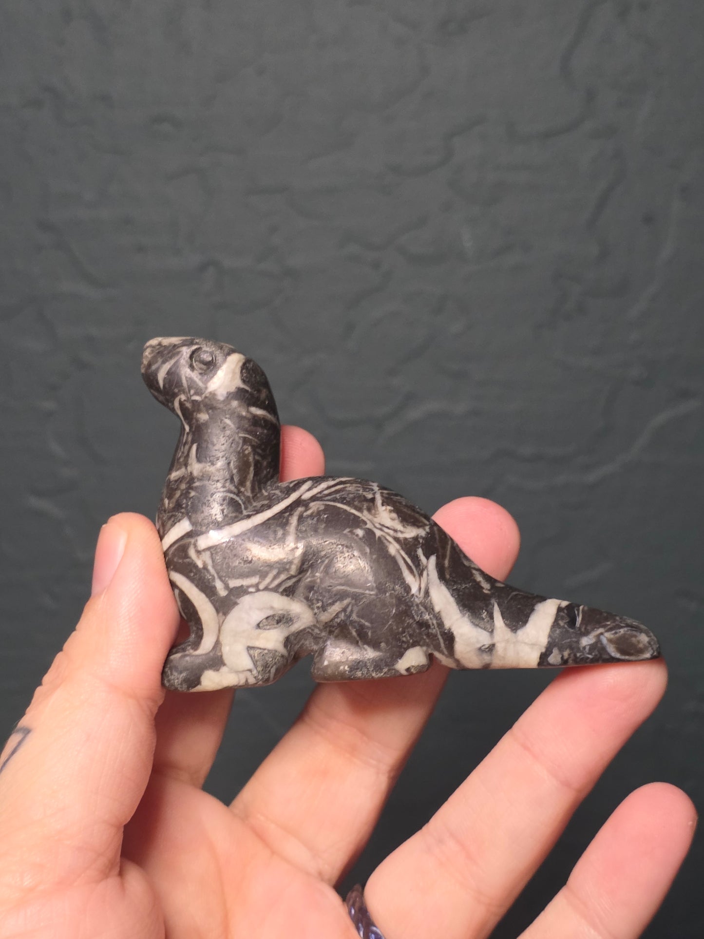 Shell Jasper Long Neck