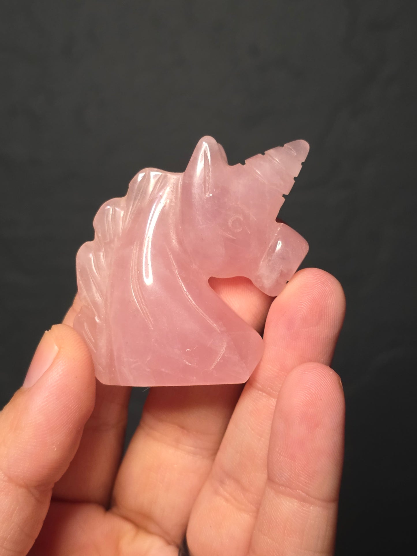 Unicorn Bust Carving