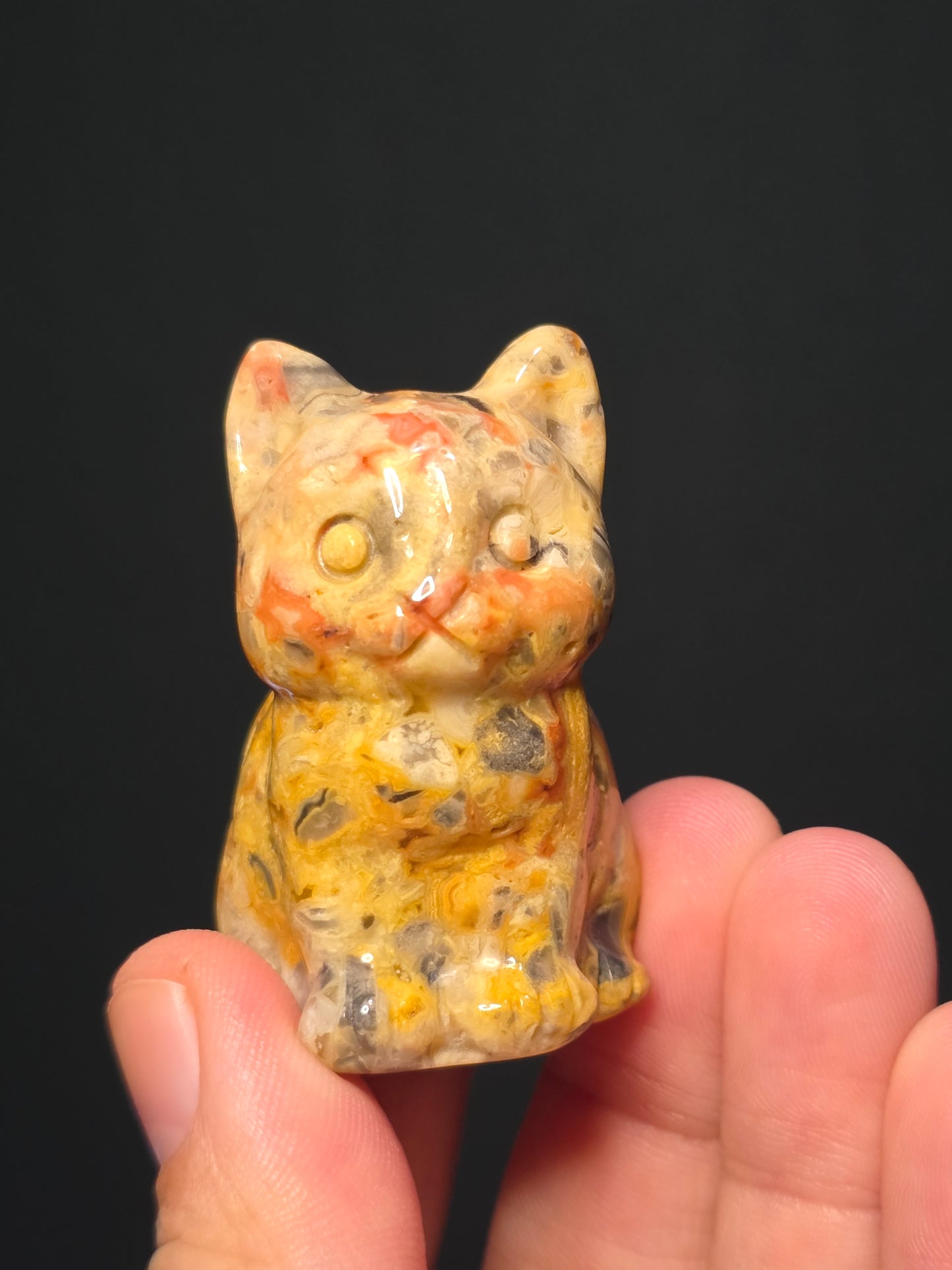 Med Crazy Lace Agate Chubby Cats