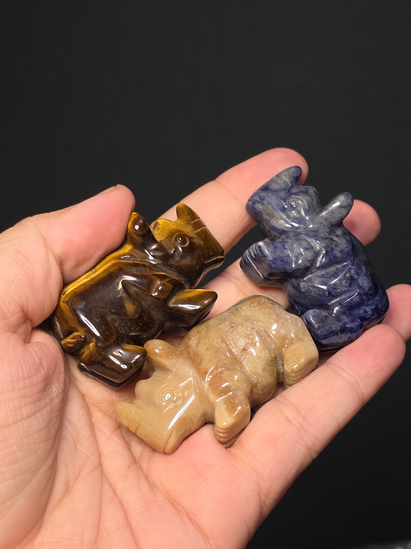 Sm Rhino Carvings