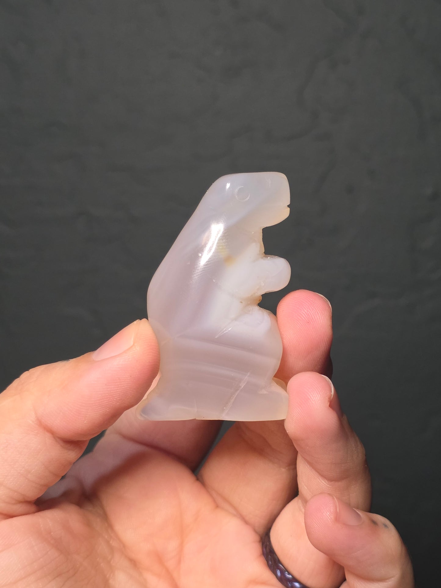 Small T-Rex Carvings