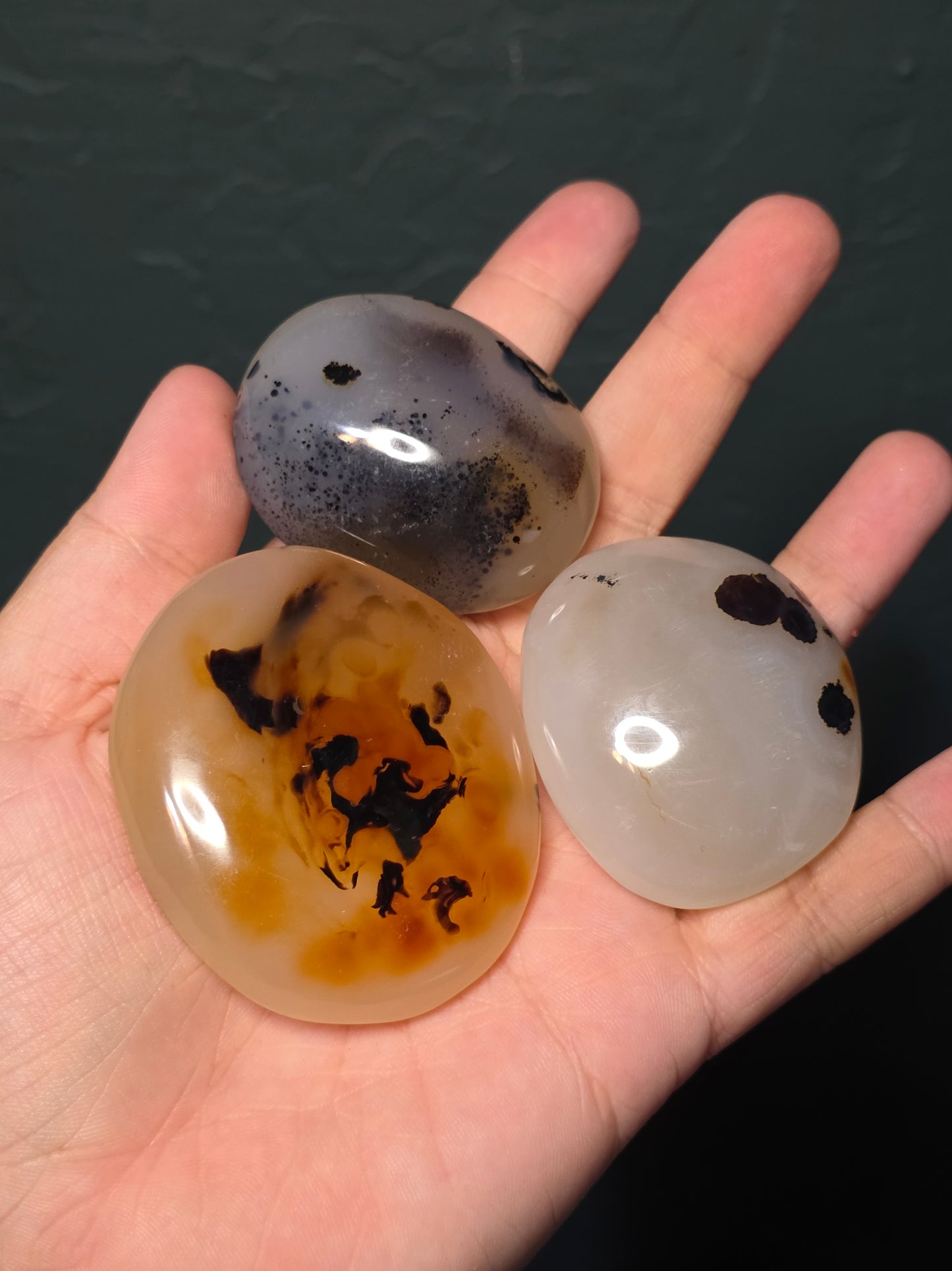 Dendritic Agate Palm Stone