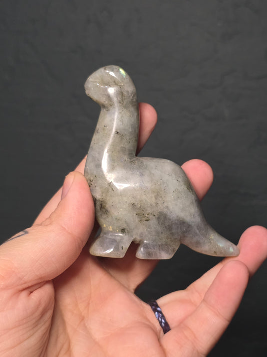 Medium Long Neck Dinosaur