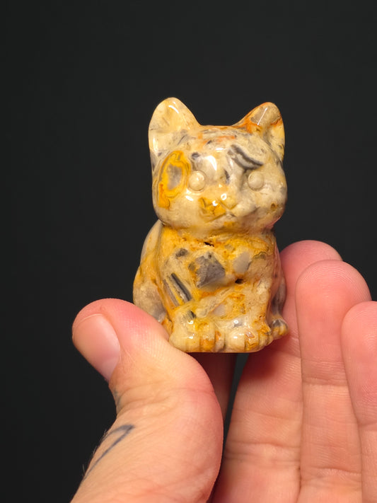 Med Crazy Lace Agate Chubby Cats