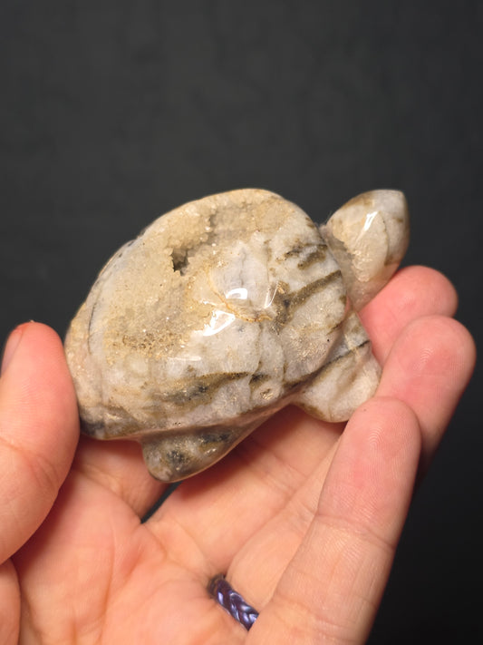 Druzy Agate Turtle