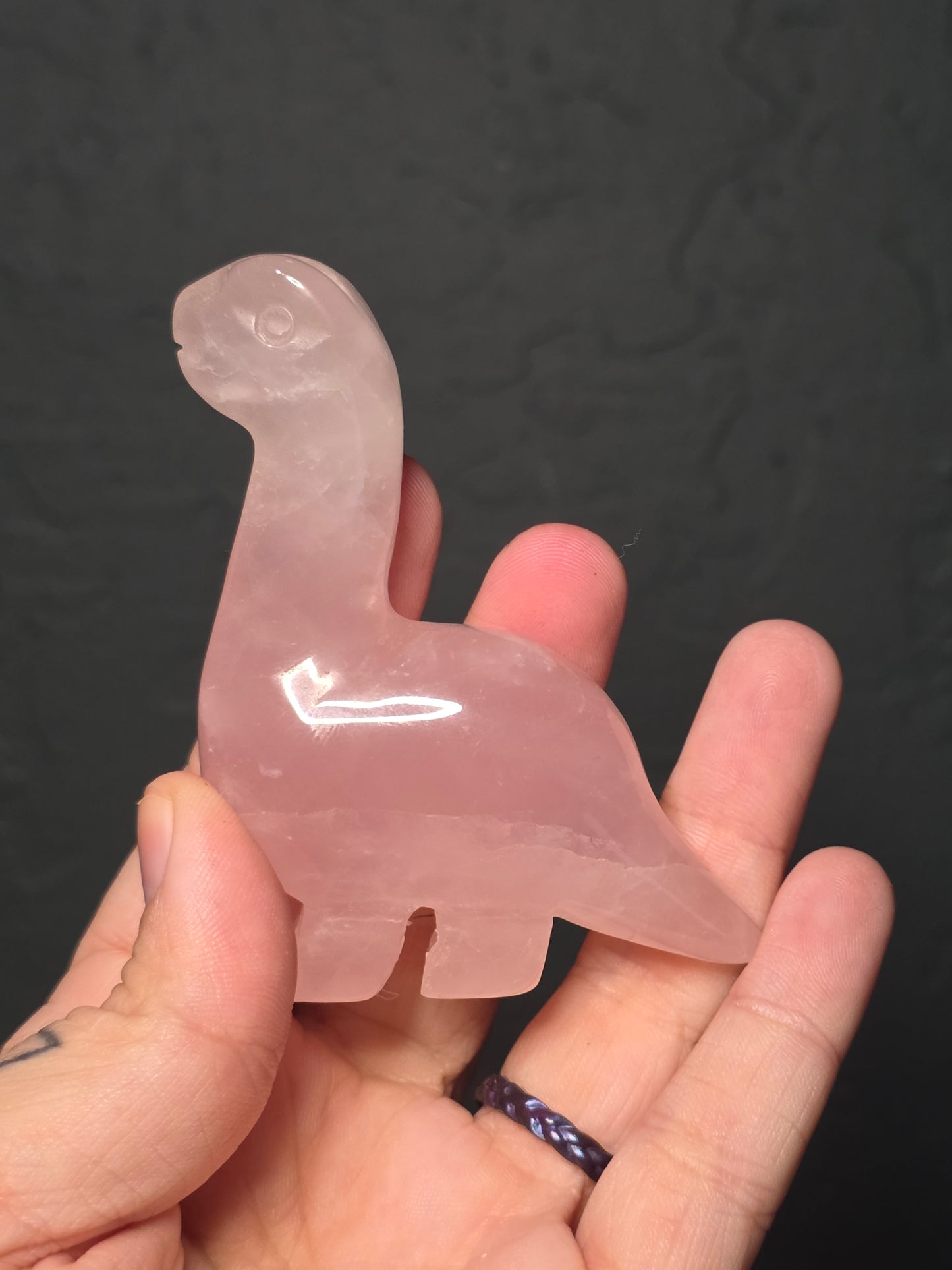 Medium Long Neck Dinosaur