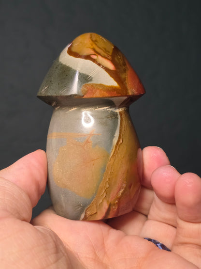 Polychrome Jasper Mushroom