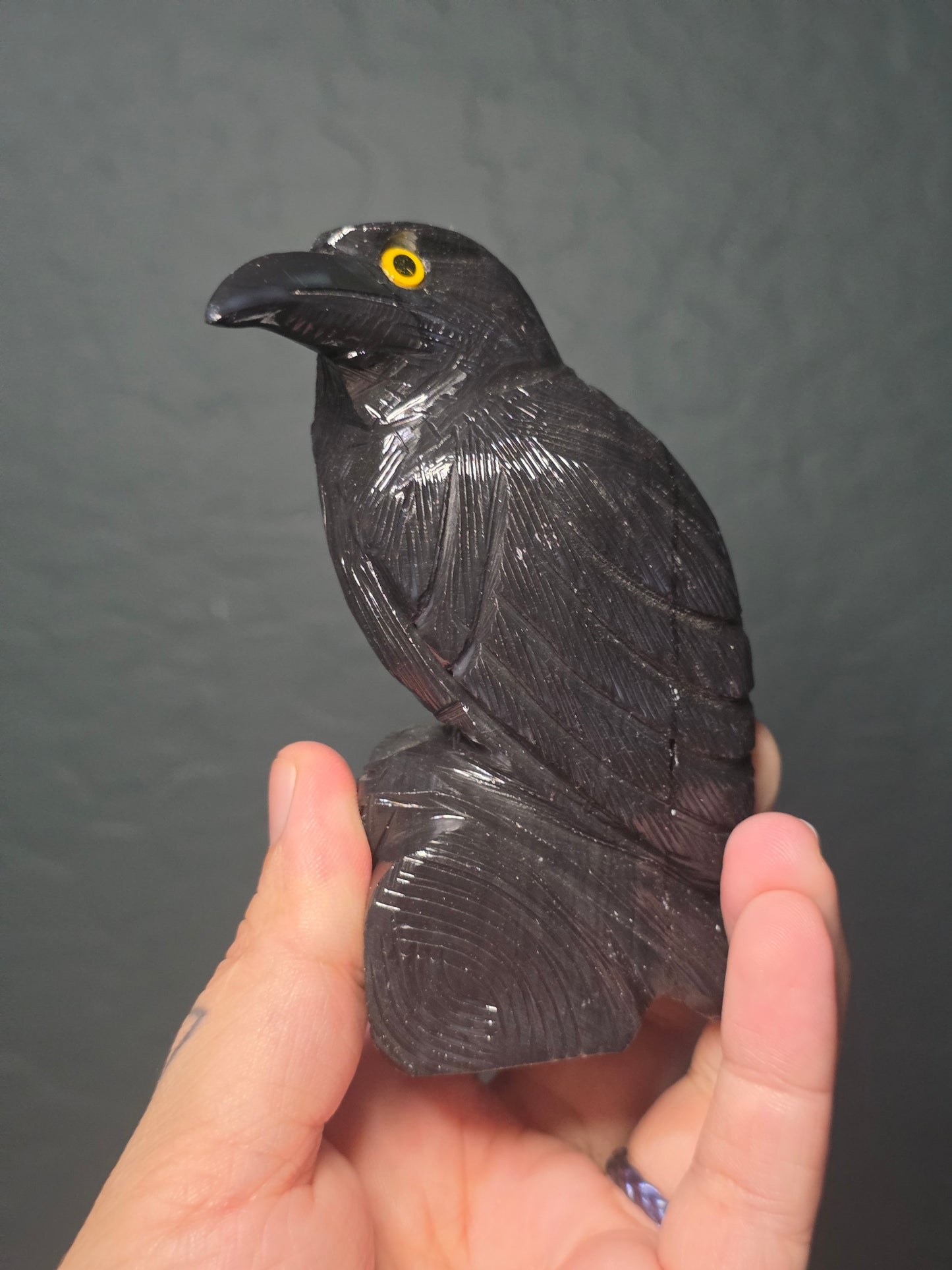 Black Onyx Raven