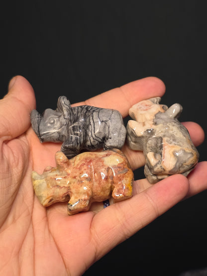 Sm Rhino Carvings