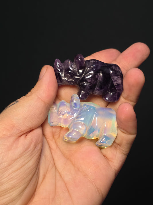 Sm Rhino Carvings
