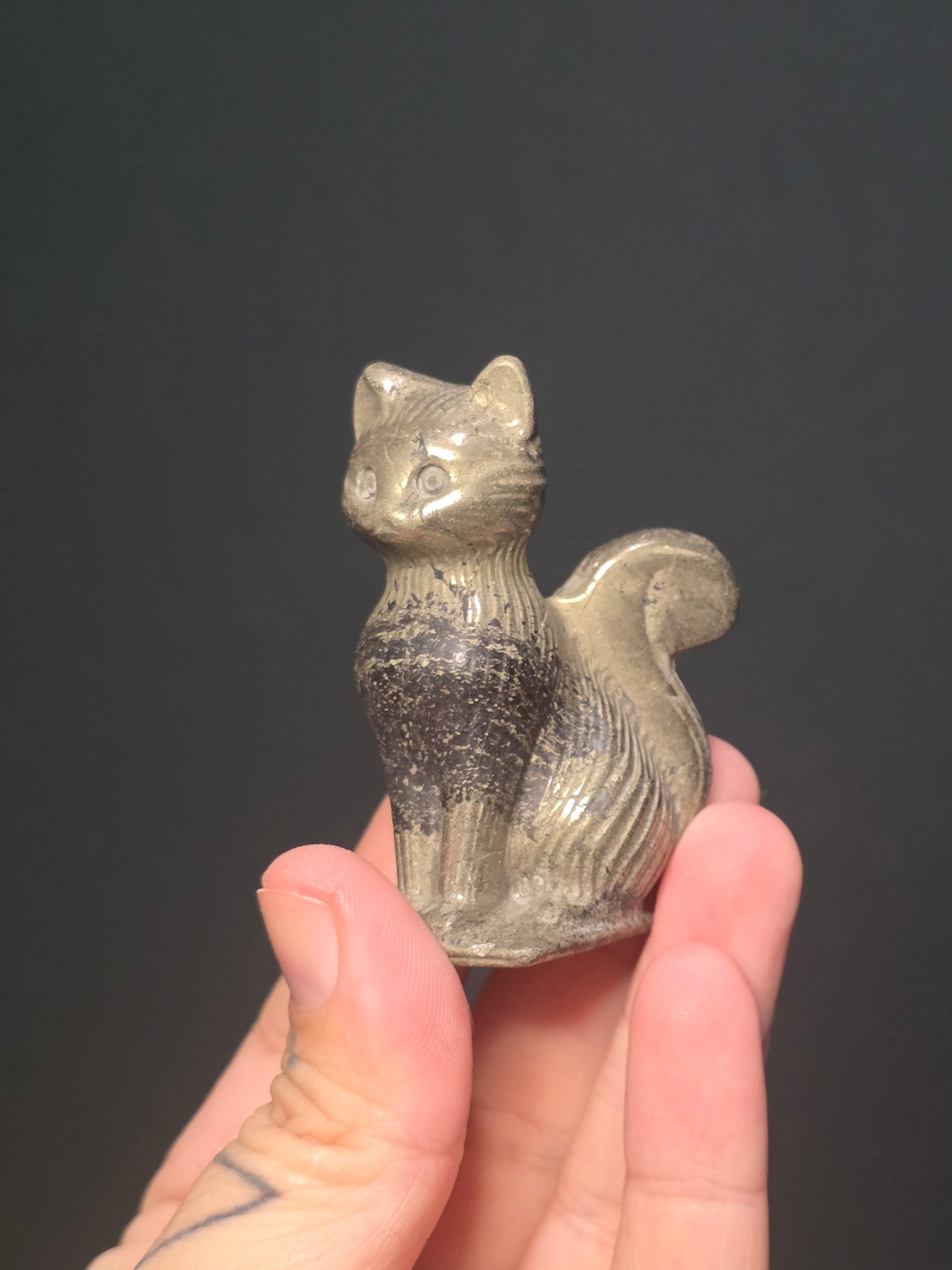 Sitting Cat