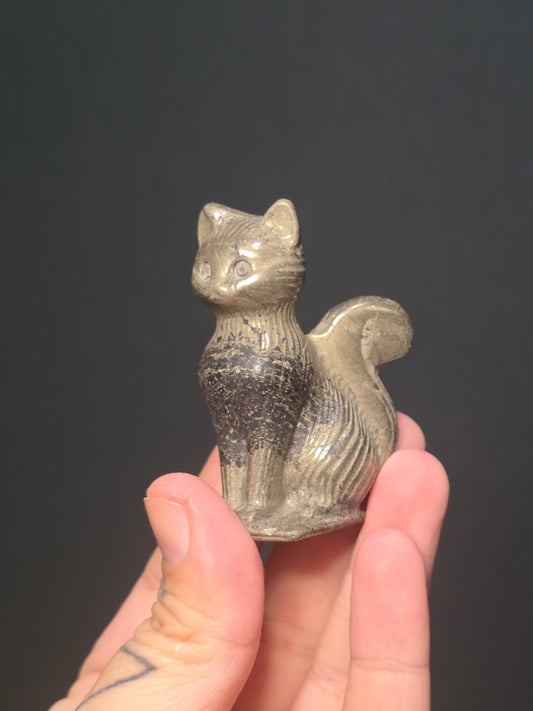 Sitting Cat