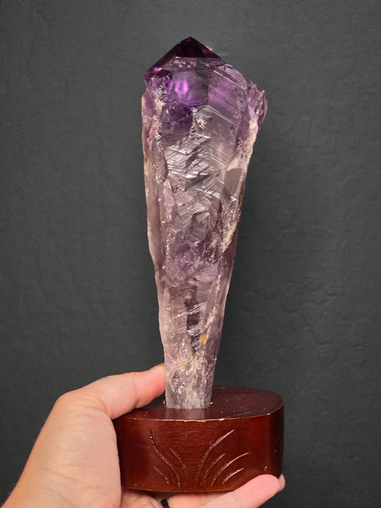 Amethyst Tooth on Stand