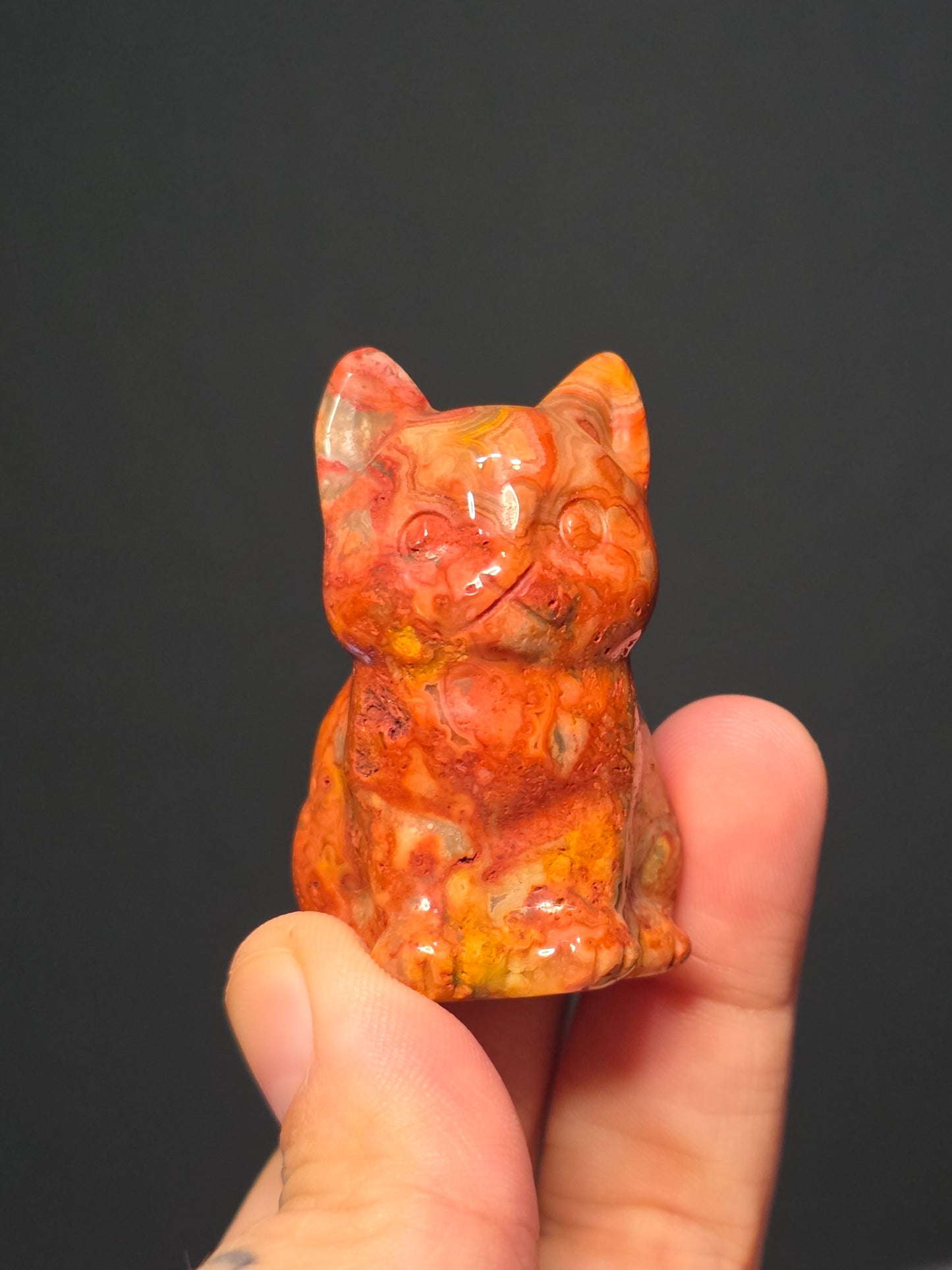 Med Crazy Lace Agate Chubby Cats