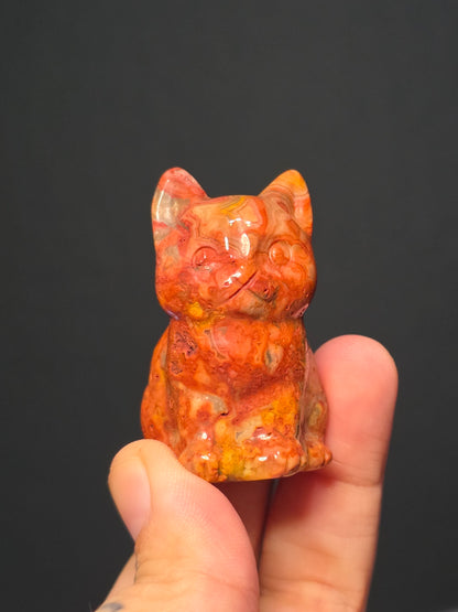 Med Crazy Lace Agate Chubby Cats