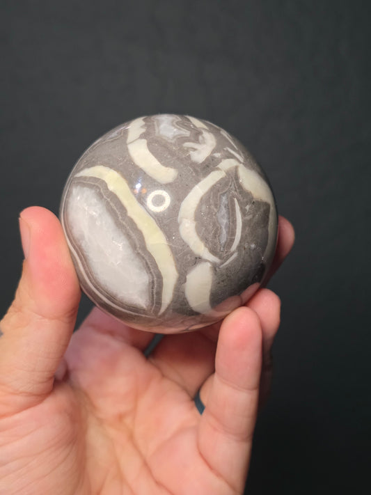 Shell Jasper Sphere