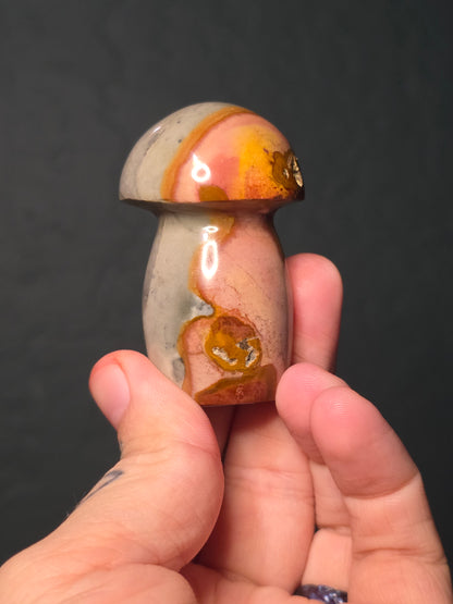 Polychrome Jasper Mushroom